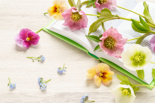 ページがめくられた本のうえにユリの花とパンジーの花。