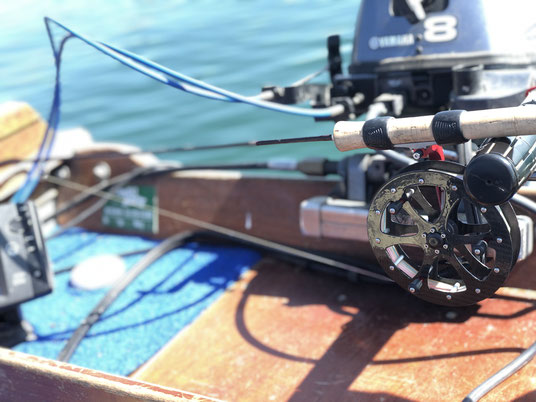 Feine Felchenfischerei mit leichtem Angelgerät auf dem Bielersee. Leichte Rolle und feine Gamben bringen den Fangerfolg auf die begehrten Felchen