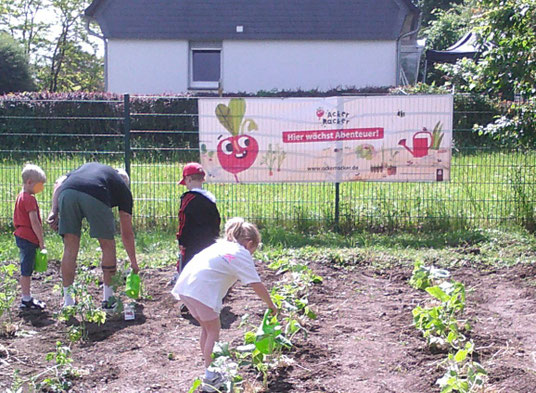 Drei Kinder und ein Erwachsener bepflanzen einen Garten. Dahinter ist ein Banner mit der Aufschrift "hier wächst das Abenteuer" zu sehen.