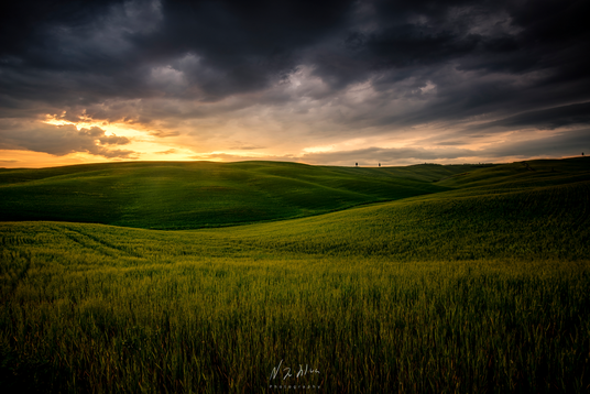 Abendsonne in der Toskana