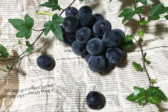英字新聞のうえにおかれたぶどうとぶどうのつる。