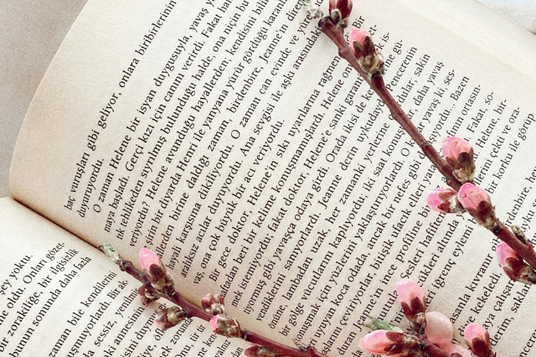 ページが開かれた本に挟まれた桜の小枝。