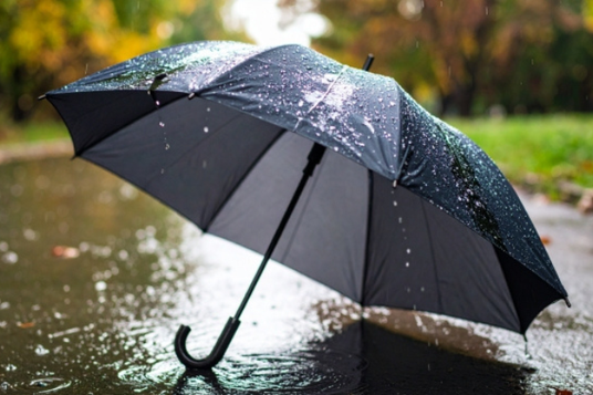 道端に置かれ雨に濡れそぼる雨傘。
