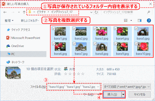 jsgD03：「新しい写真の挿入」ダイアログ