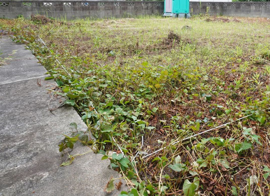 千葉での家づくり-千葉県-千葉市-注文住宅-一級建築士事務所-設計事務所-建築家-高性能住宅-高断熱高気密-heat20g2-耐震等級3-許容応力度設計-断熱等級6-長期優良住宅-住まい-家-木造-木の家