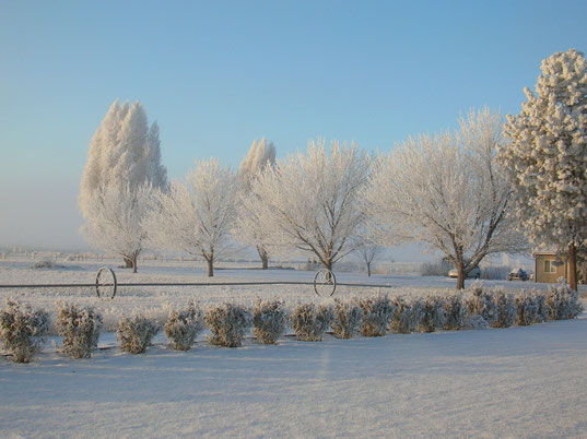 Winterwonderland in Washington