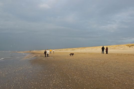 Die Sonne kommt raus! 