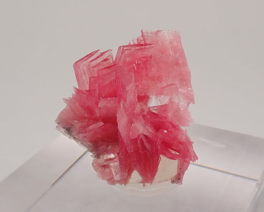 Peru Rhodonite