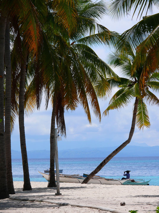 Ein Palmenstrand! (Foto Jörg Schwarz)