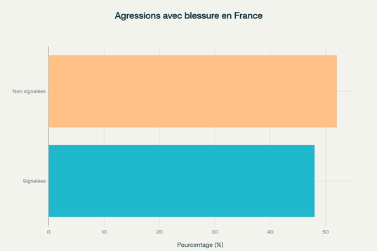 Agression avec blessures en France