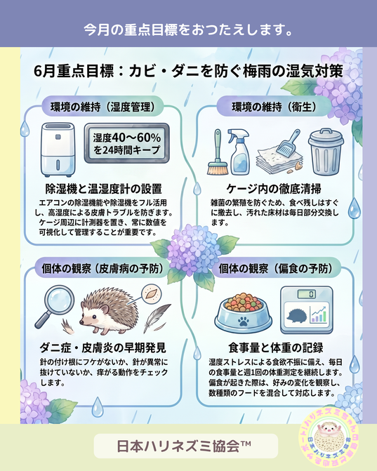月ごとに重点目標を発信中！詳細クリック！