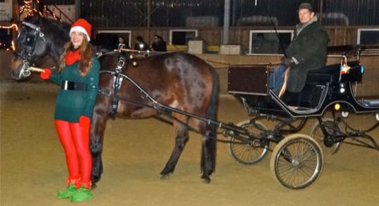 Dante brachte den Nikolaus am 7.Dezember 2013 mit seiner Kutsche in die Reiterschaft, begleitet von einem Weihnachtself (Michelle) und seinem Kutscher (Christian).