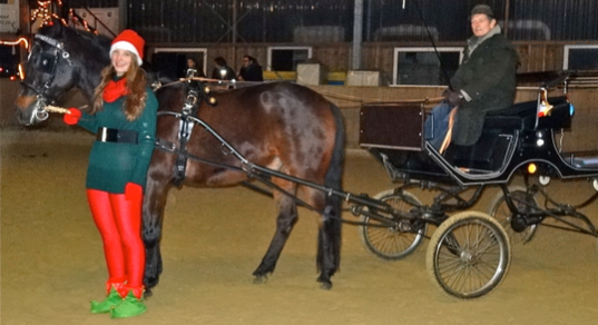 Dante brachte den Nikolaus am 7.Dezember 2013  mit seiner Kutsche in die Reiterschaft, begleitet von einem Weihnachtself (Michelle) und seinem Kutscher (Christian).