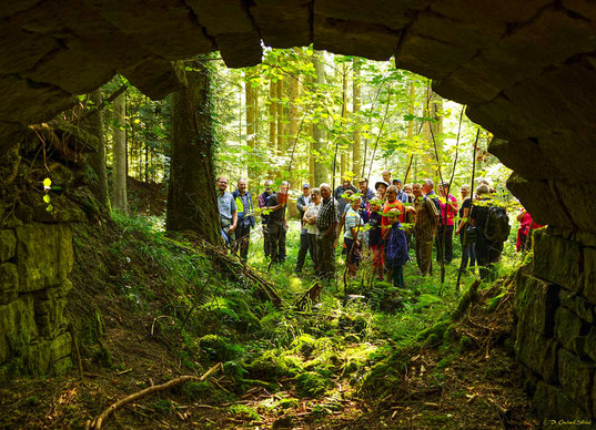 Blick aus dem ehemaligen gemauerten Felsenkeller der zum Steinbruch gehörigen Gastwirtschaft