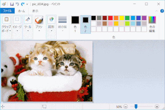 jdgPAI_08:切り取る画像をペイントで開く