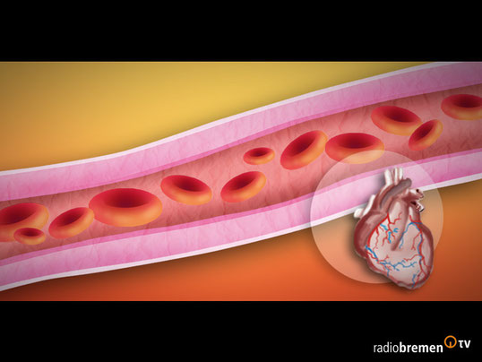 Animierte Infografik "Blutkörperchen" für Radio Bremen TV "Buten un Binnen"
