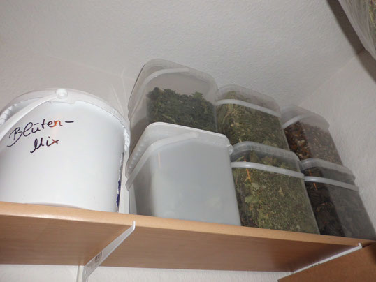 Hier unser Wintervorrat: In den Eimern befindet sich außer dem Blütenmix von dem oberen Foto: Brennesseln, Spitz-und Breitwegerich, Haselnussblätter, Löwenzahn und Löwenzahnblüten