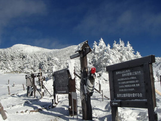 八ヶ岳　スノーシュー　体験　ガイド　ツアー