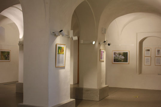 Valerie Forster, Ausstellung, Wurzacher Ried