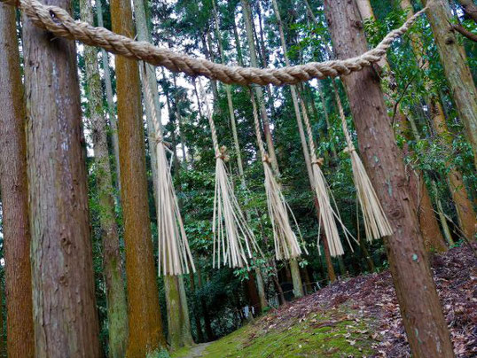 十市県主 磯城縣主 系図 事代主 今西家 安寧天皇 磯城彦 弟磯城 出雲神族