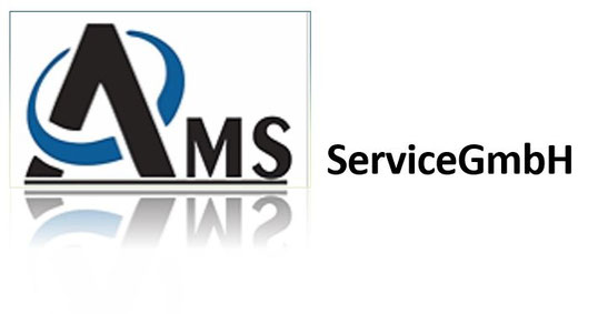 ams-service-duebendorfs Webseite!