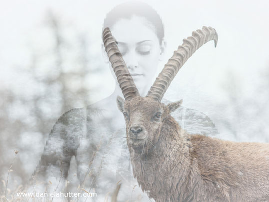 Rauhnächte Weihnachten Steinbock Mondjahr Meditation