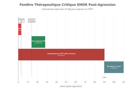 Fenêtre thérapeutique critique : Timeline optimale pour l'intervention EMDR après une agression