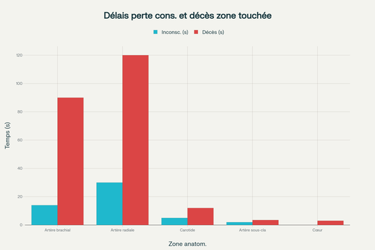 Délais estimés de perte de conscience et de décès selon la zone anatomique touchée par une attaque au couteau