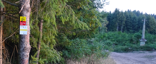sur le Haut Berthillot