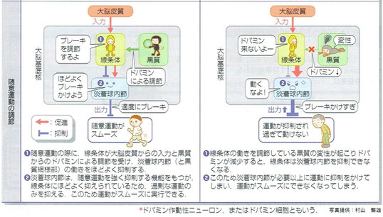 ドパミンの働き