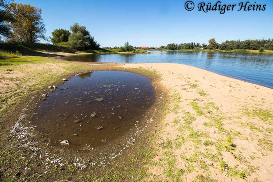 Elbufer in Niedersachsen