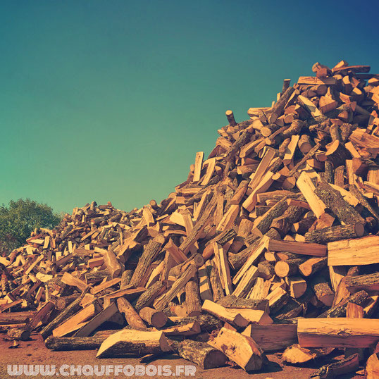 volume de bois de chauffage pour l'hiver