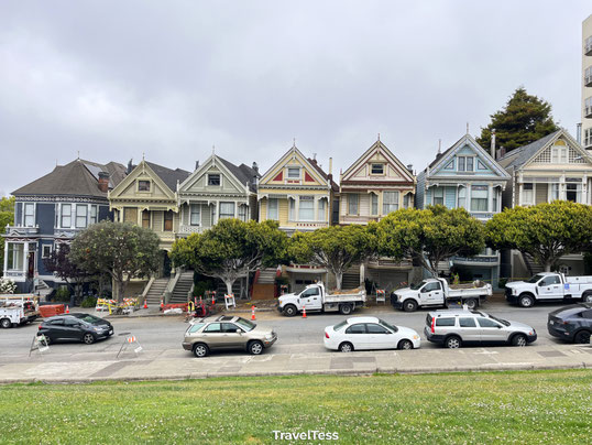 Painted Ladies