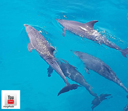 Ihr Ausflug ab Hurghada Preisliste - YouTOURS Hurghada