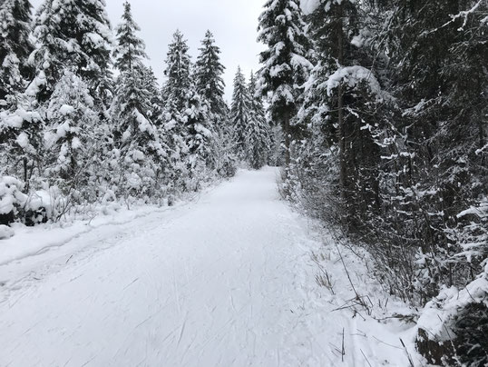 Sicher in den Skiurlaub. Spezielle Ski-Haftpflichtversicherung für Italien und Südtirol.