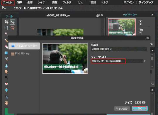 p30_10:PXD 形式での保存