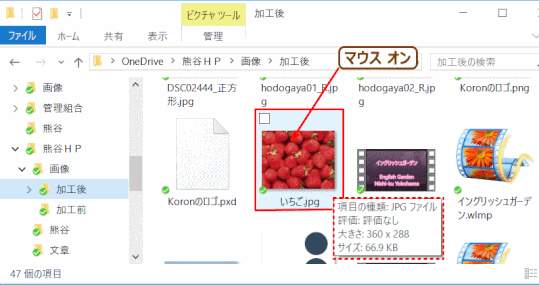 jdgPA5_09:保存したファイルの情報を表示する