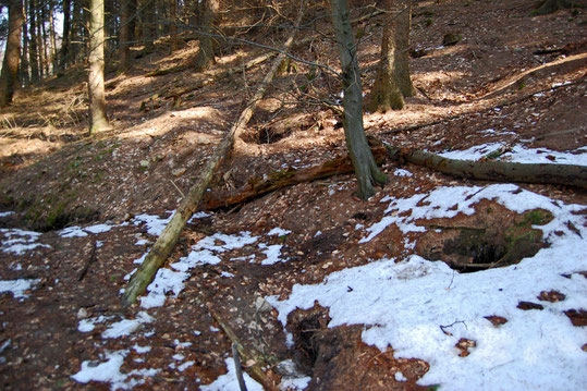 Dachsburg am Kagelsberg