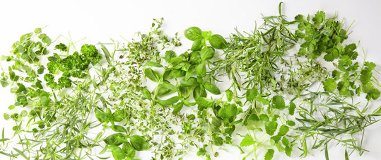 krydderurter oppskrift pesto