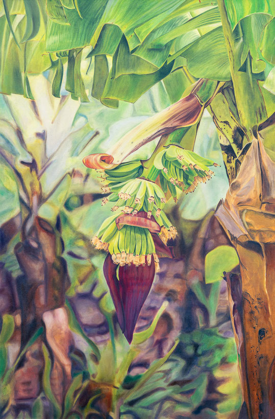 Bananenstaude 122 x 80 cm, Öl auf Baumwolle 2025