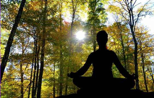 stage de meditation pleine conscience en touraine - amandine brault - méditation Sonore  annuaire des therapeutes en region centre val de loire
