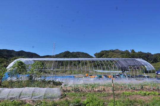 自然栽培　農業体験　体験農場　野菜作り教室