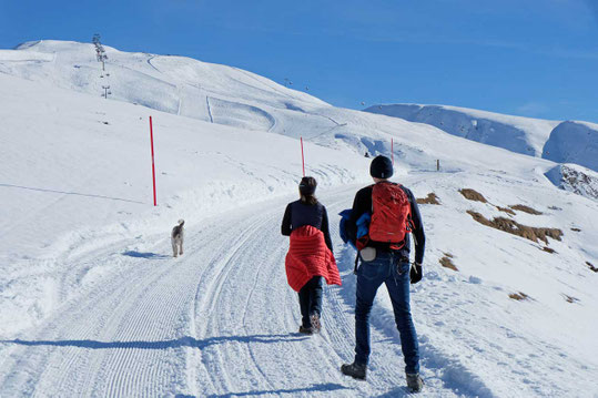 Plose Panorama-Winterwanderweg Brixen
