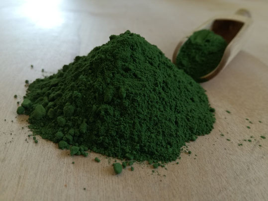 Marine Phytoplankton Algen Spirulina Omega-3 Fettsäuren vegan Microalge Chlorella Nannochloropsis gaditana