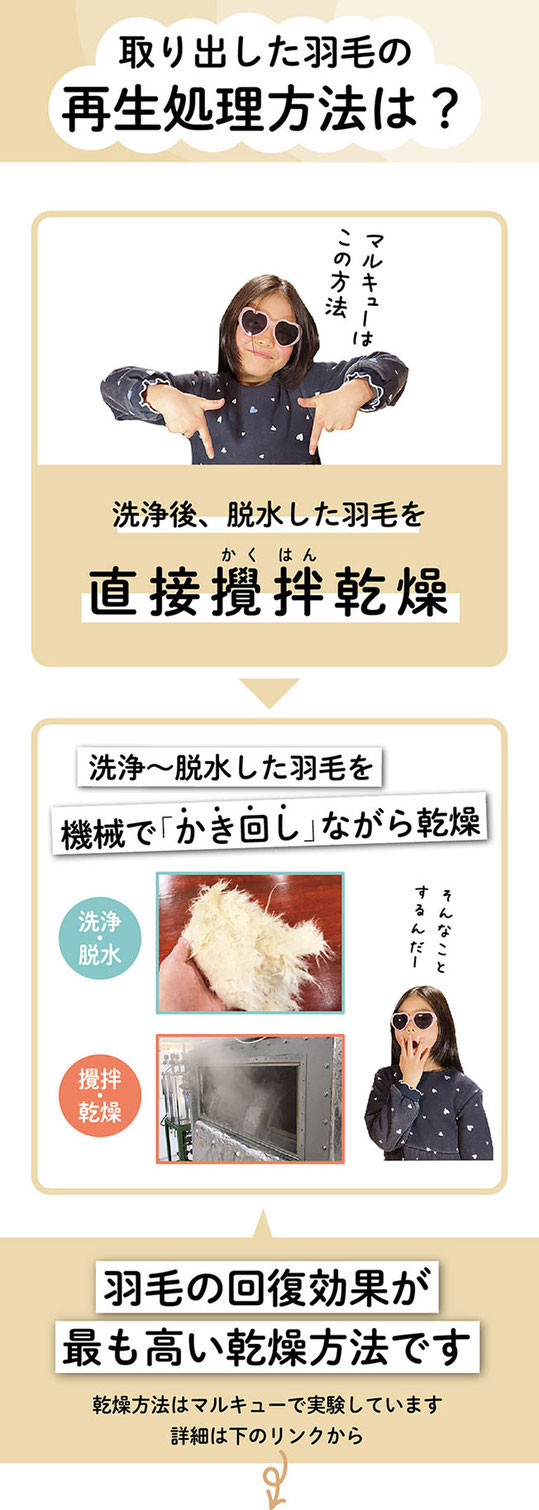 羽毛の再生工程（打ち直し）説明。解体、洗浄、乾燥、冷却除塵、詰め込み縫製