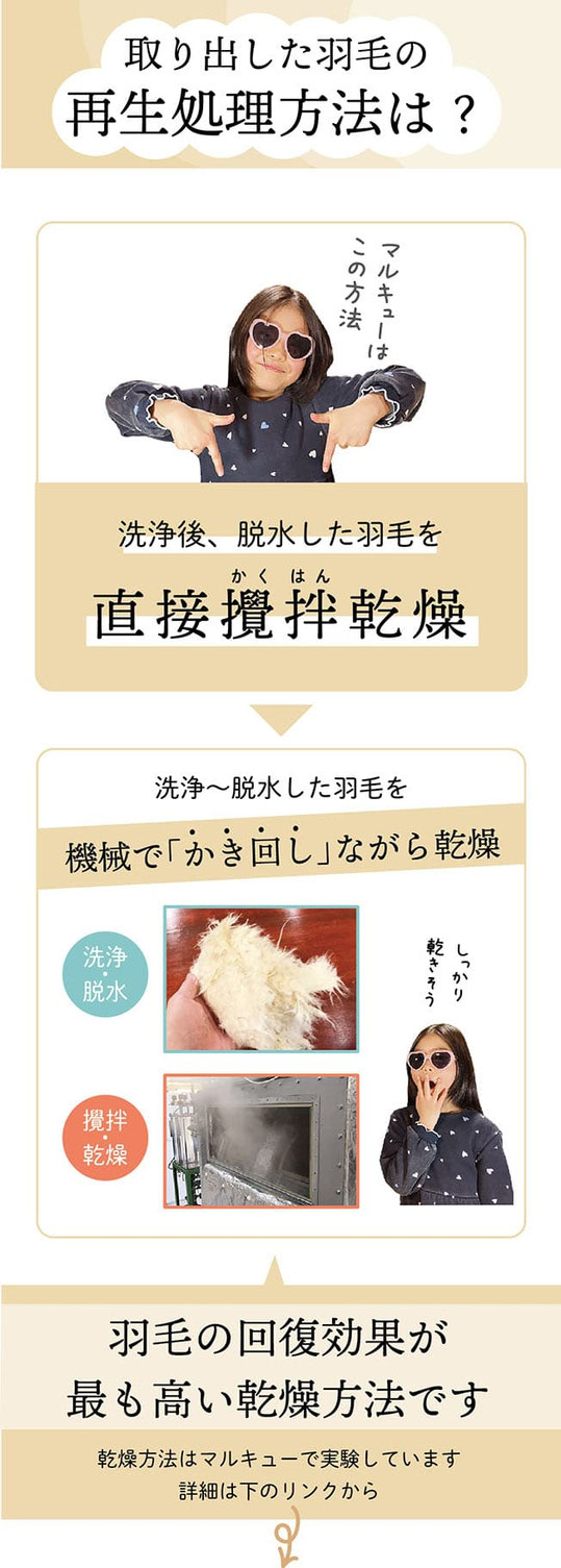 羽毛の再生工程（打ち直し）説明。解体、洗浄、乾燥、冷却除塵、詰め込み縫製