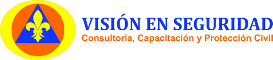 Página web de visionenseguridad1