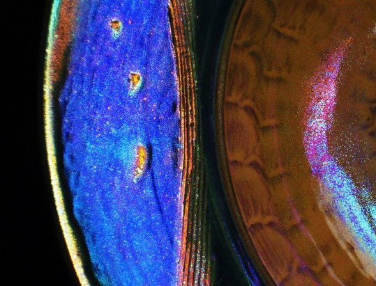 Lustre Dish (detail) 2012