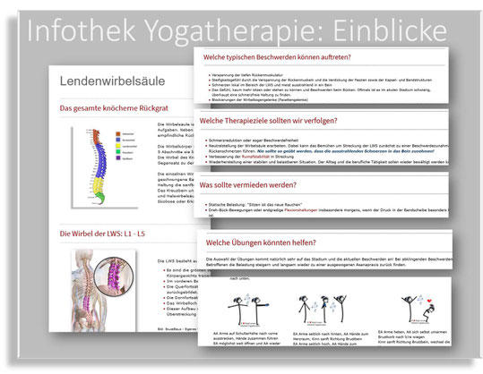 Yogatherapiewissen überall verfügbar