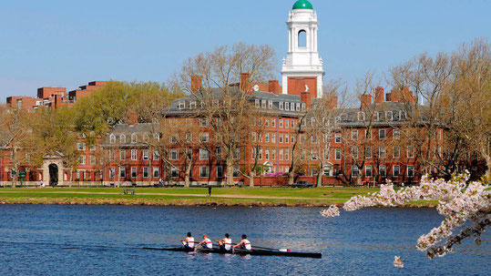 L'Université Harvard, la plus ancienne des universités américaines